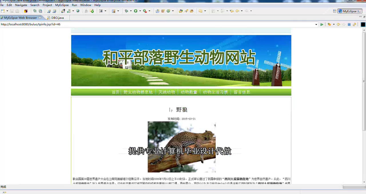 jsp564和平部落野生动物宠物sqlserver
