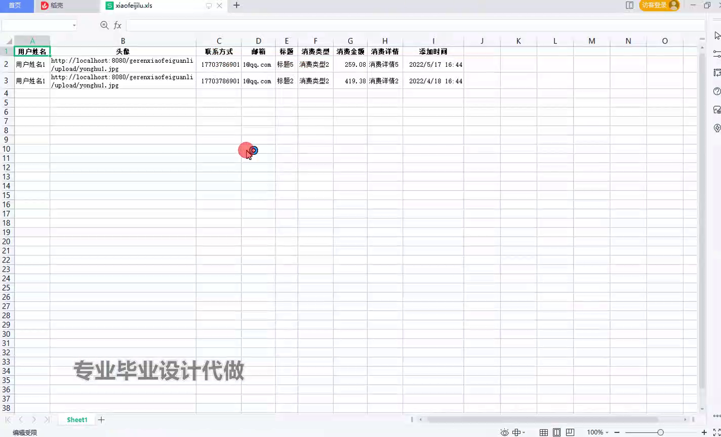 yy-ssm744个人消费管理系统+vue