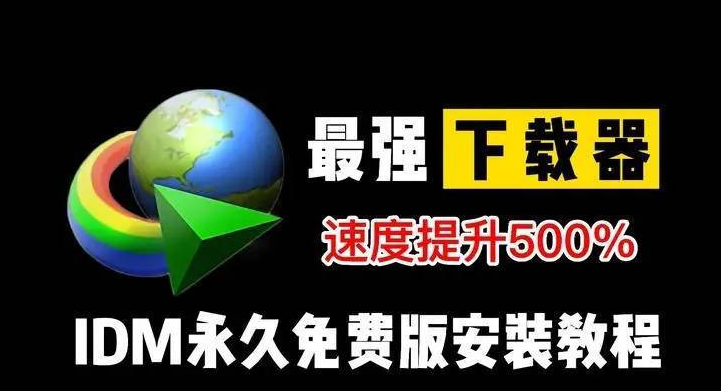 Internet Download Manager V6.42.3中文免安装版