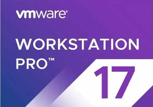 VMware 17.0.2 去虚拟化 Win10 Pro22H2 x64，【过鲁大师，过强壳】