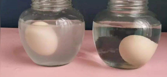 鸡蛋在盐水里浮起来的原因是什么
