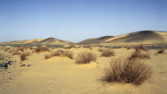 土地沙漠化有何危害