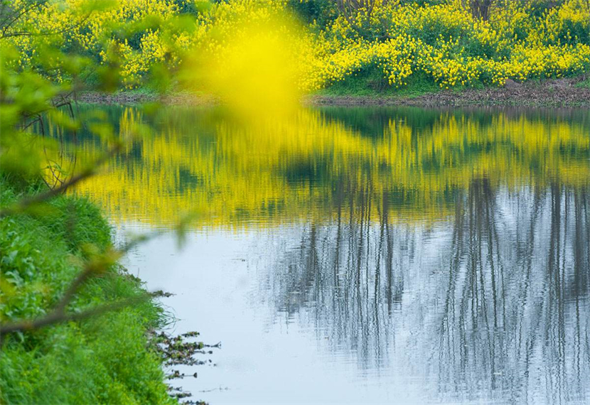 春天现代诗有哪些