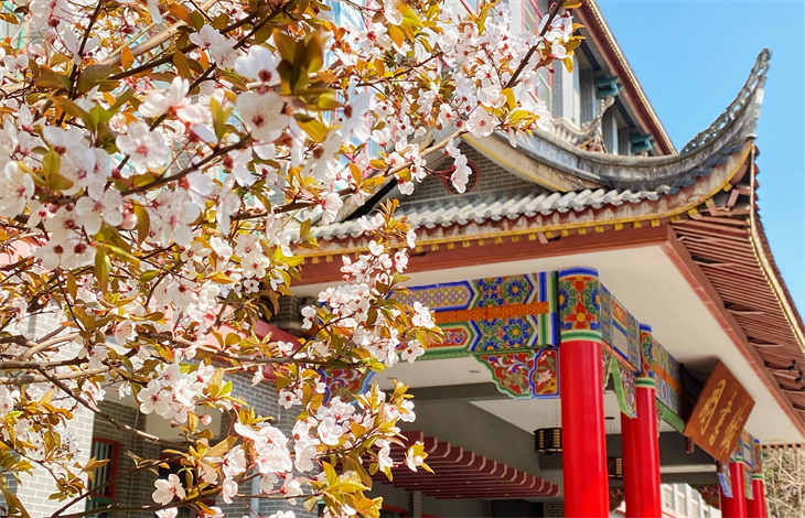 专升本可以报考哪些大学