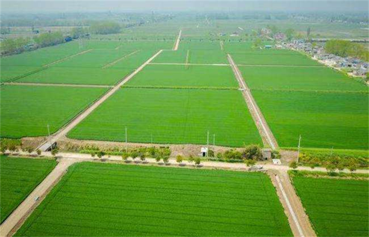 一亩地是几米x几米