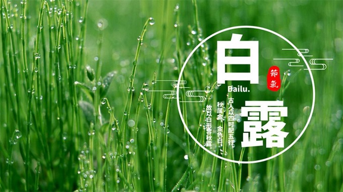 白露吃什么食物