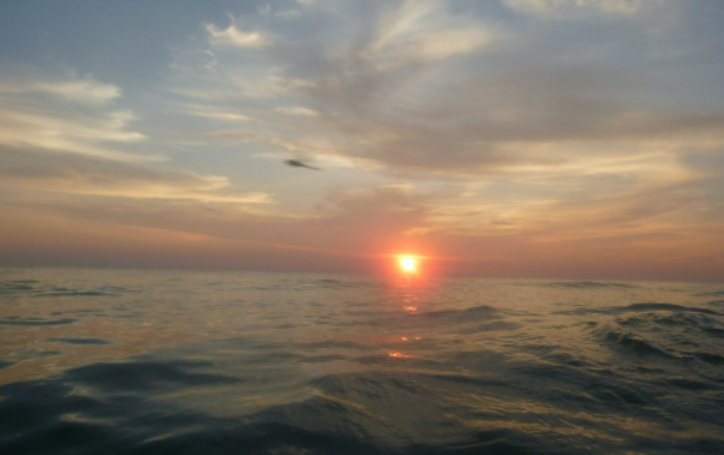 朝游北海暮苍梧出自哪里