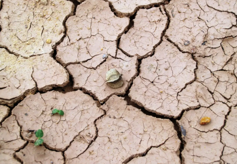 土壤污染有何特点？