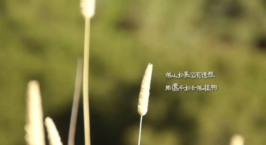 一边一边的句子有哪些