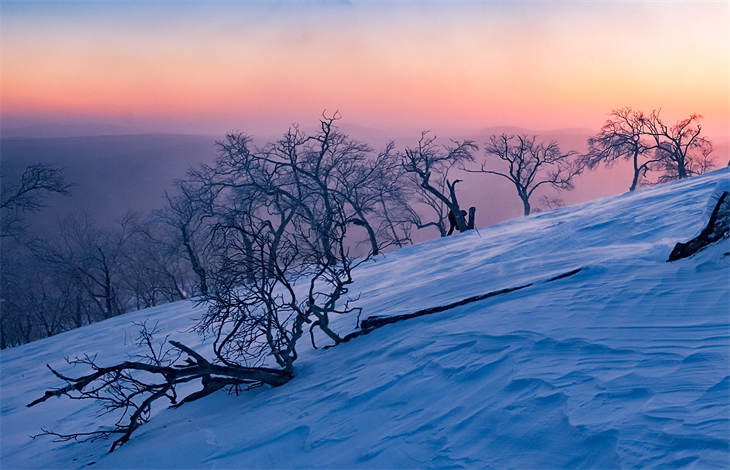 囊萤映雪原文出处