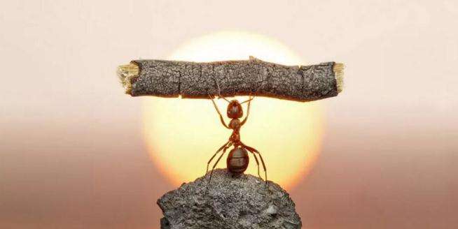 勇敢的拼音是什么