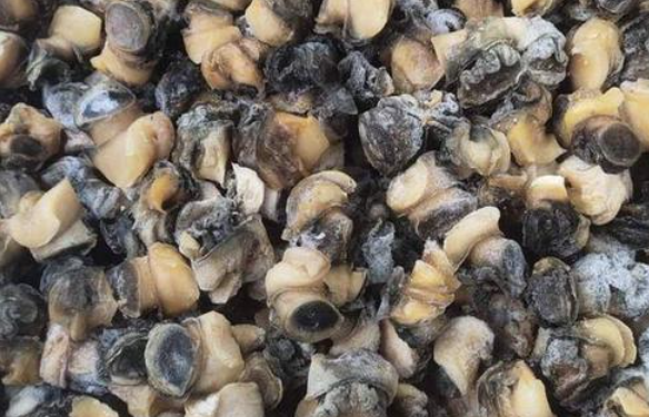 螺肉的作用是什么