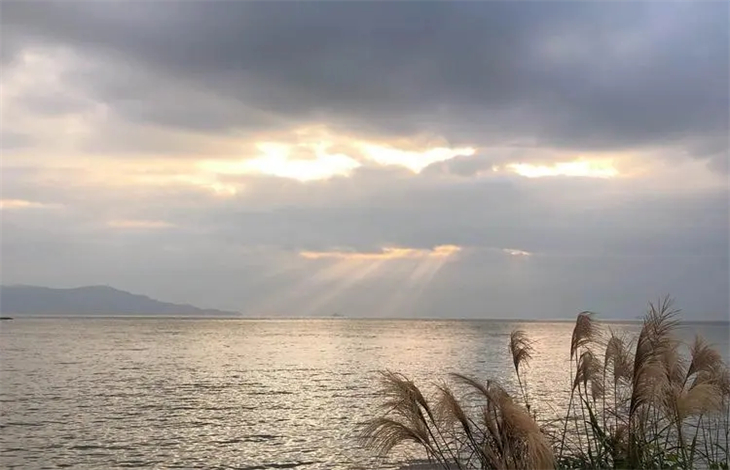 有缘千里来相会下一句