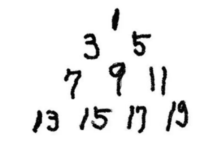 奇数是什么意思