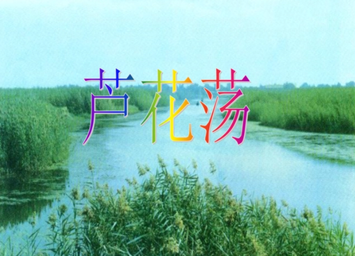 芦花荡中老头子是个怎样的人