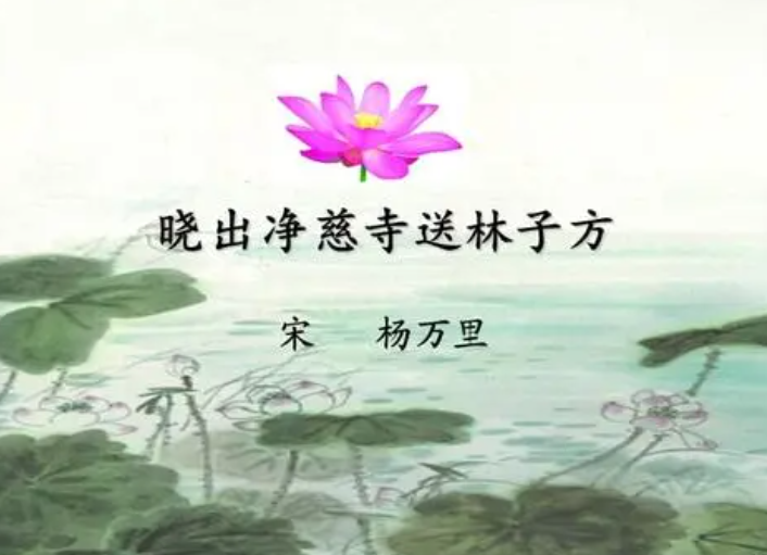 晓出净慈寺送林子方的作者是谁