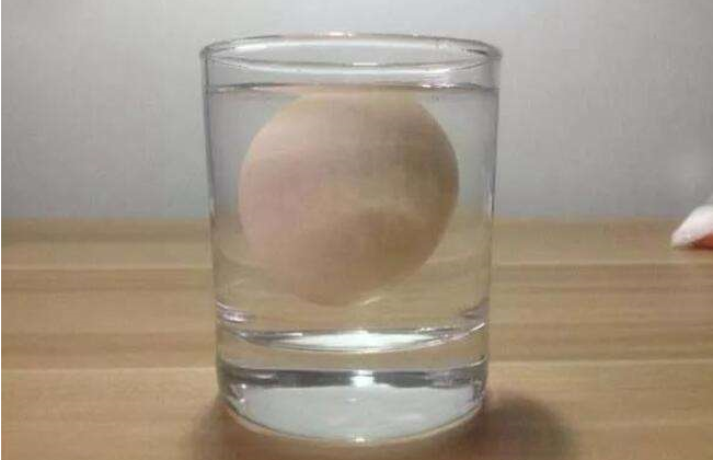 在盐水里鸡蛋为什么会升起来