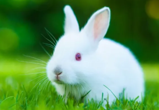 75年出生的人2022年多大