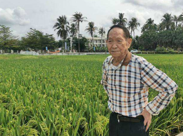 袁隆平是不是科学家