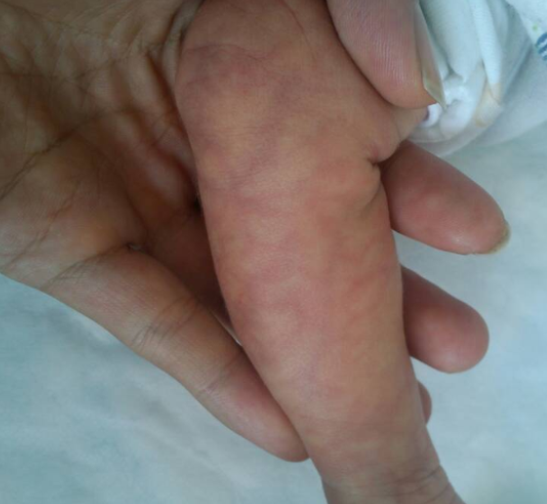 属于中华民族的三大印记有哪些