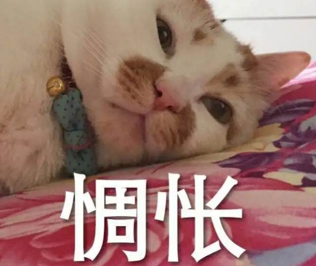 惆怅的意思是什么