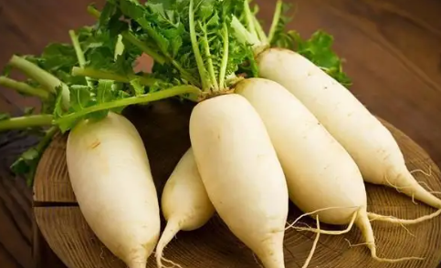 萝卜的拼音是什么