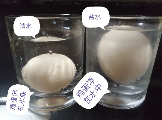 鸡蛋可以漂浮在盐水上是什么原理