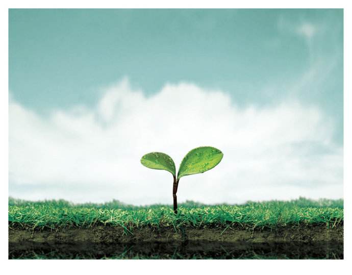 希望的拼音是什么