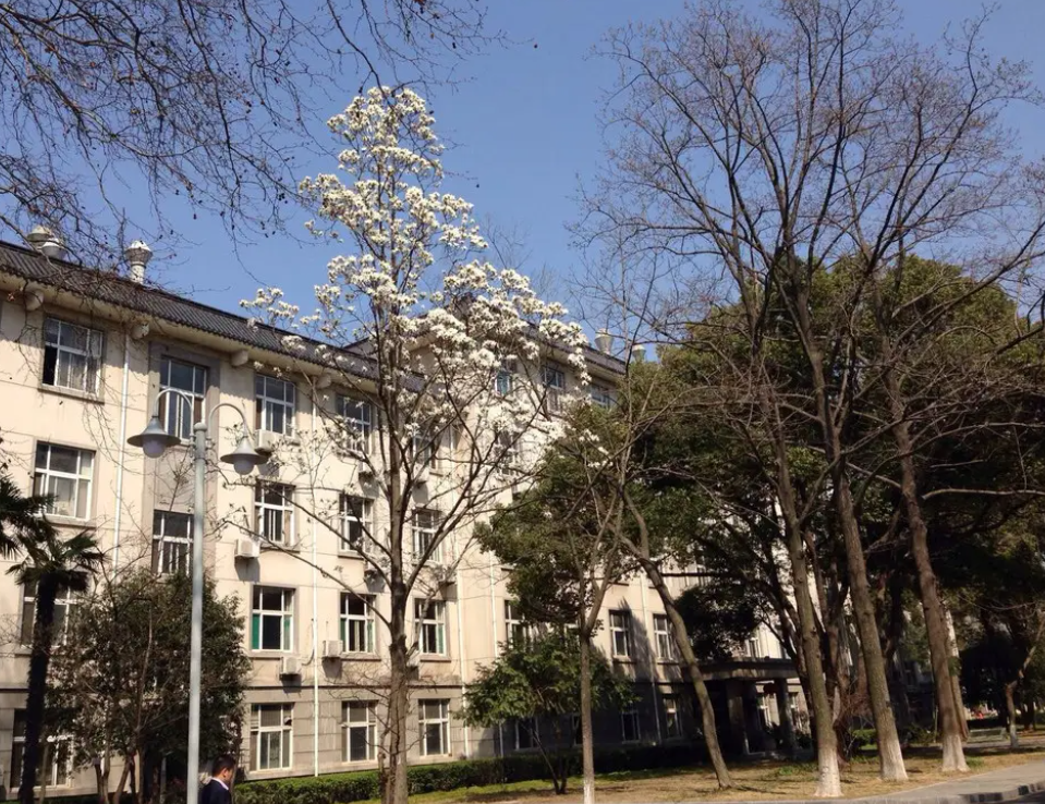 南京林业大学是几本院校