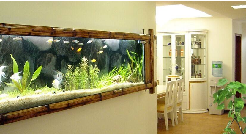 鱼缸放哪里合适