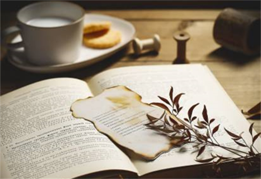 今生与谁共白头主角是谁