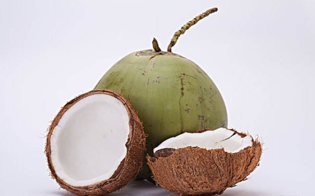 椰汁是降火的还是上火的