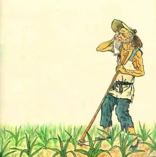 粒粒皆辛苦的作者是谁