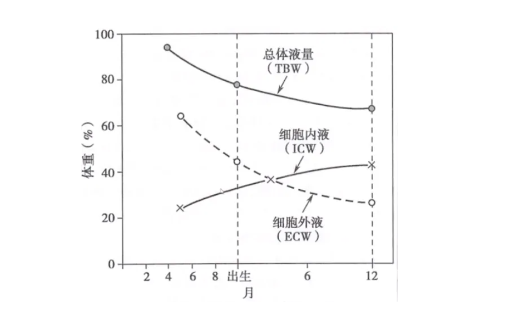 补钠公式是什么