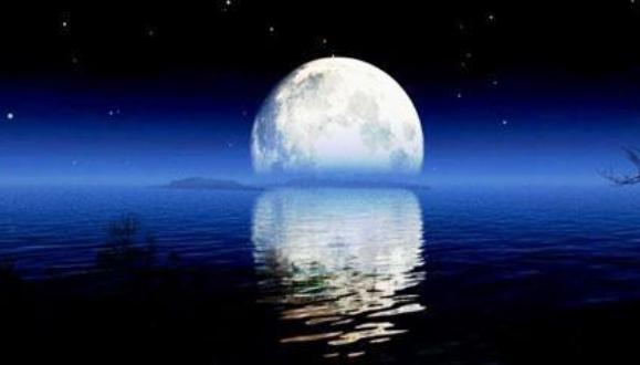 春江花月夜的作者是哪个