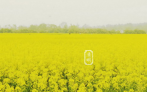 传统清明节源于哪个朝代