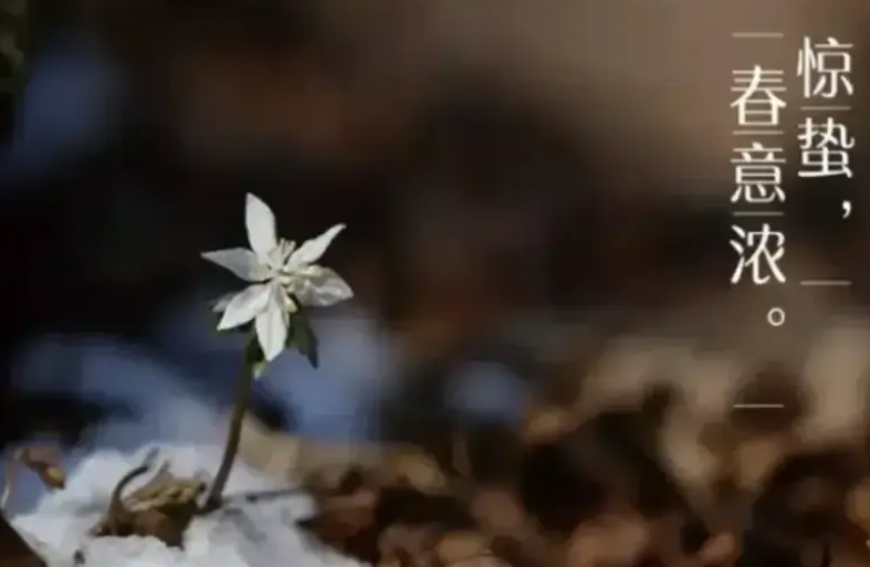 惊蛰是几月几日2022