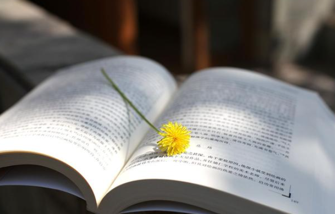 读书的好处有哪些