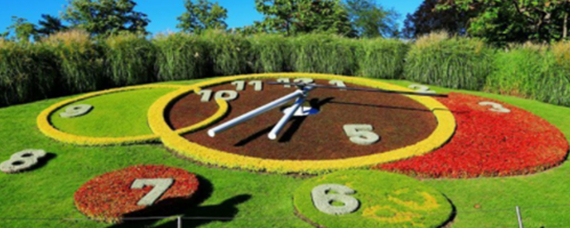 花钟的作者是谁