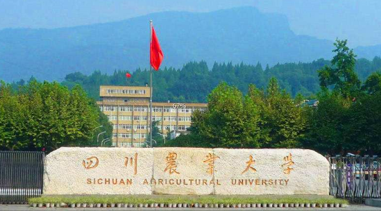 四川农大是不是211