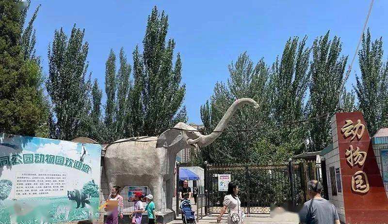 动物园里有什么