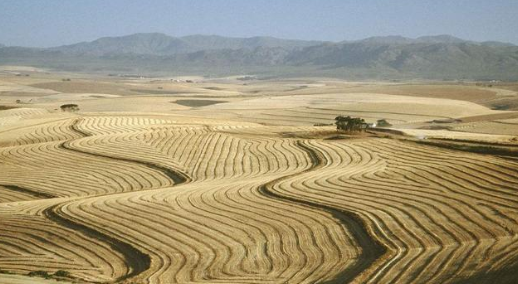 一垧地是多少亩