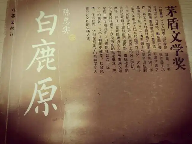 白鹿原讲的什么内容