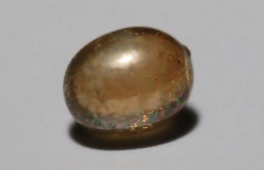 舍利子是什么东西?