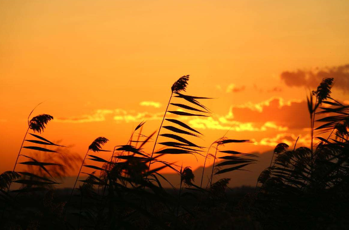 夕阳无限好，只是近黄昏是什么意思？