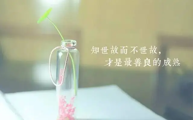 知世故而不世故是什么意思？