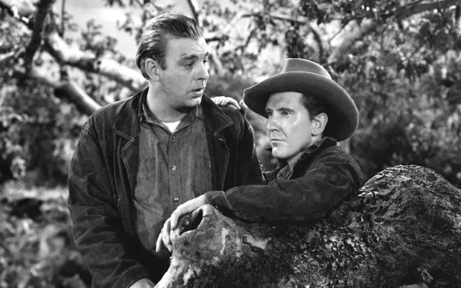 汤姆的叔叔的小屋改编自什么