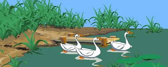 咏鹅的作者是谁？