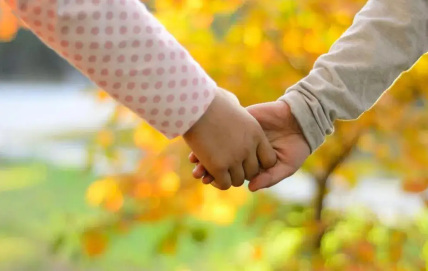 帕拉图式恋爱是什么