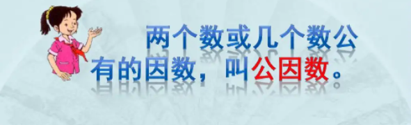 公因数是什么
